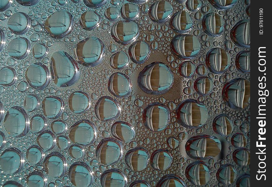 Water, Pattern, Organism, Texture