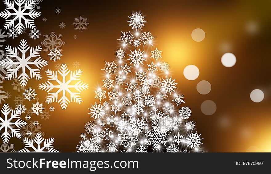 Christmas Tree, Christmas, Christmas Decoration, Fir