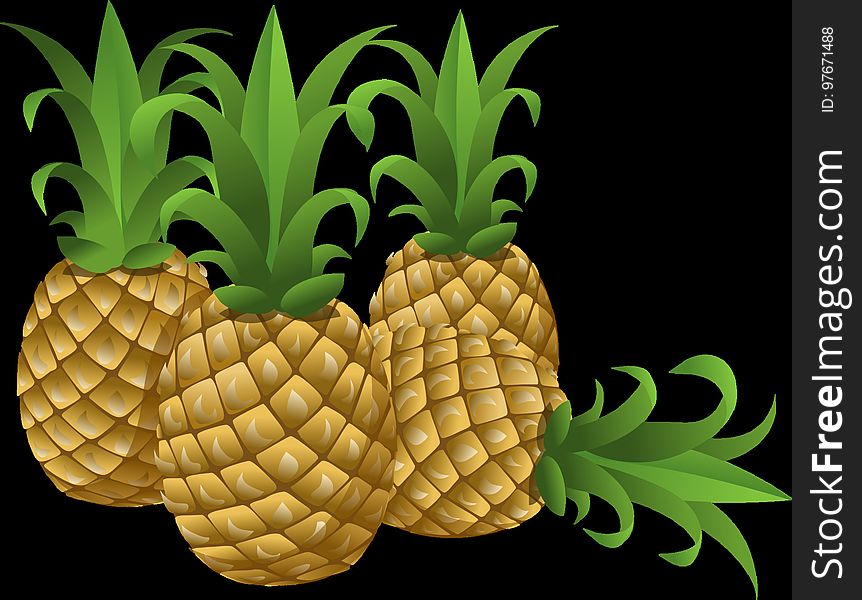 Ananas, Pineapple, Fruit, Plant