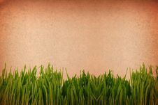Green Grass Against A Grungy Toned Paper Backgroun Stock Photography