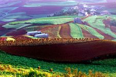 Fields Stock Images Fields Stock Images