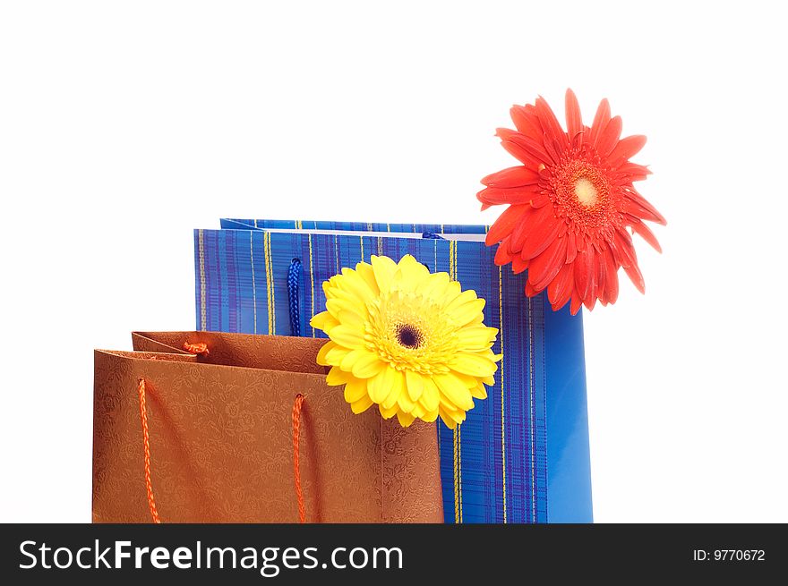 Two paper bags for gifts with flowers