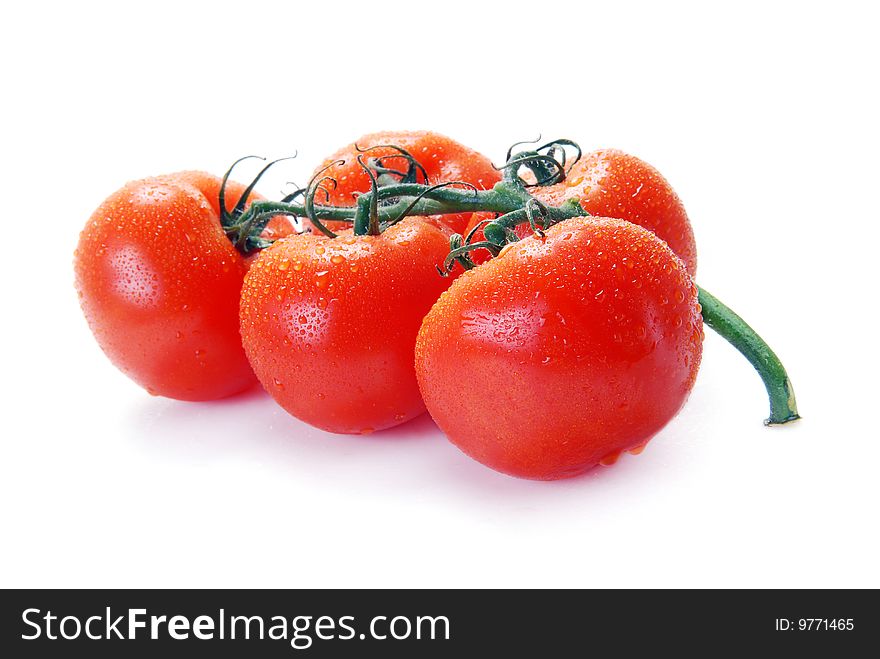 Red tomatoes on a branch with water drops on a white background