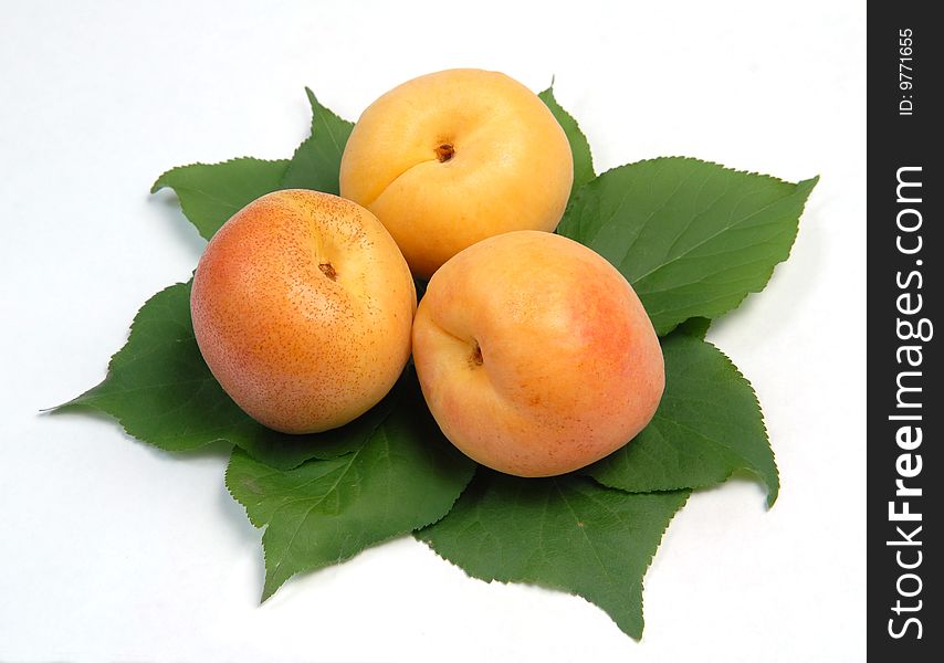 Apricots on green leaves on a white background