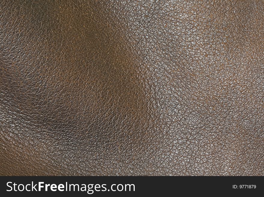 Leather Texture