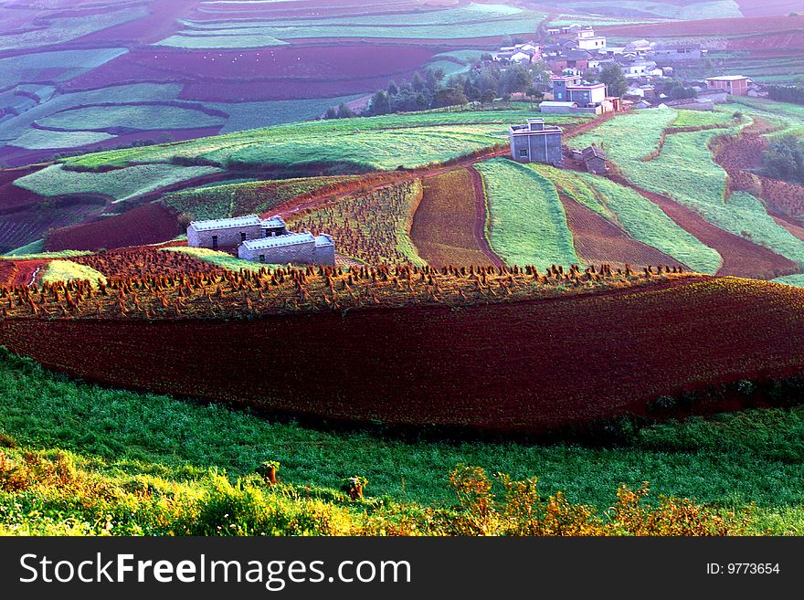 A village in the middle of a cloud of fields