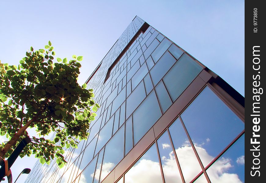 Building with clouds reflecting and a tree. Building with clouds reflecting and a tree