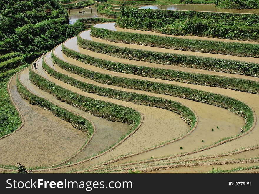 The ancient terrace at an altitude between 300 to 1180 meters, covers an area of 70 square kilometers. The ancient terrace at an altitude between 300 to 1180 meters, covers an area of 70 square kilometers.