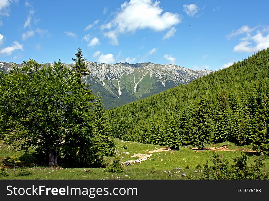 Scenic view with Piatra Craiului mountains from Charpathian mountains in Romania. Scenic view with Piatra Craiului mountains from Charpathian mountains in Romania