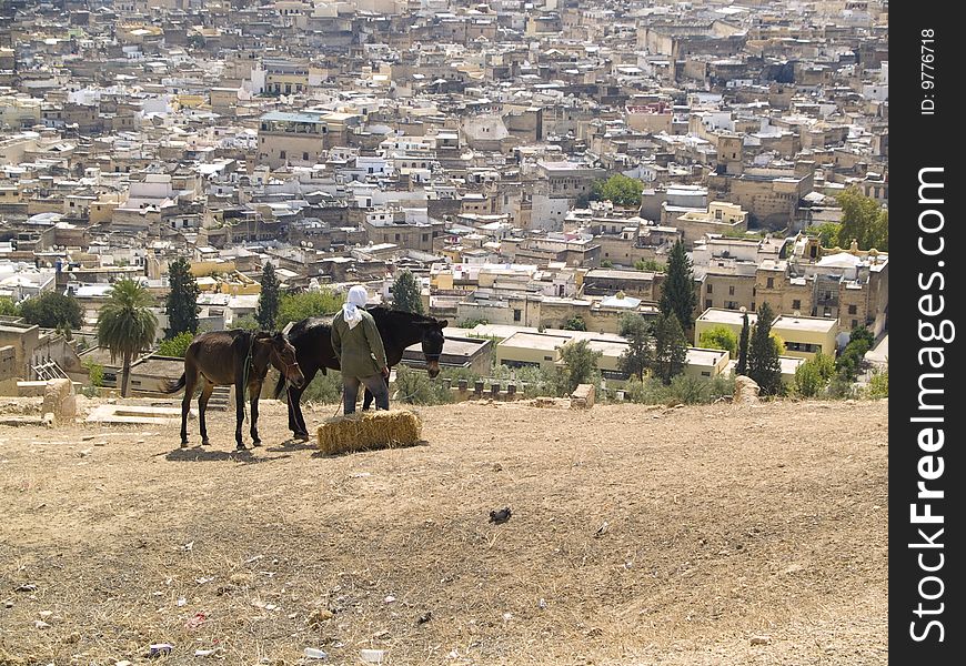 Man and two horses in background Fes city. Morocco