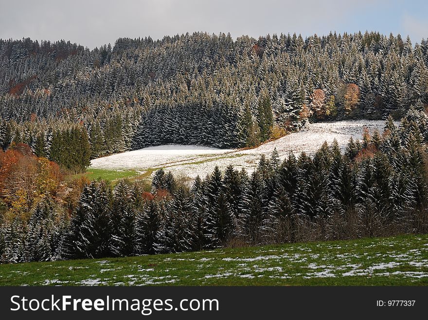 Alpine forest covered with first snow. Alpine forest covered with first snow