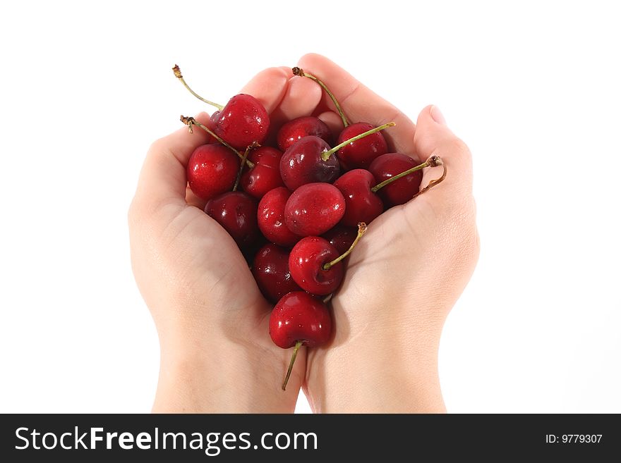 A handful of freshly washed cherries