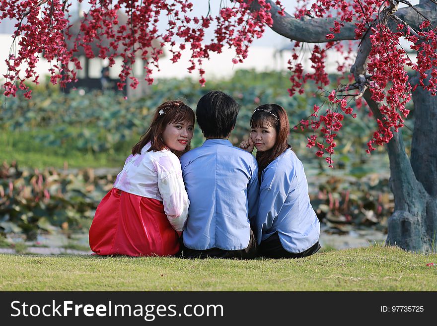 Two Japanese girls posing with one girl sitting either side of a man (face not seen) on the grass under an old tree covered in red blossoms. Two Japanese girls posing with one girl sitting either side of a man (face not seen) on the grass under an old tree covered in red blossoms.