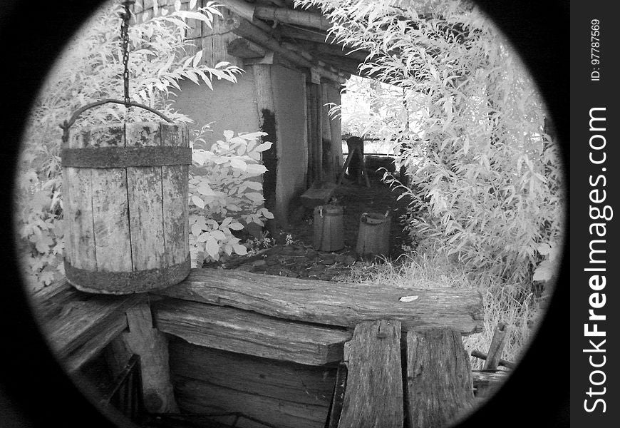 White, Light, Black, Wood, Black-and-white, Plant