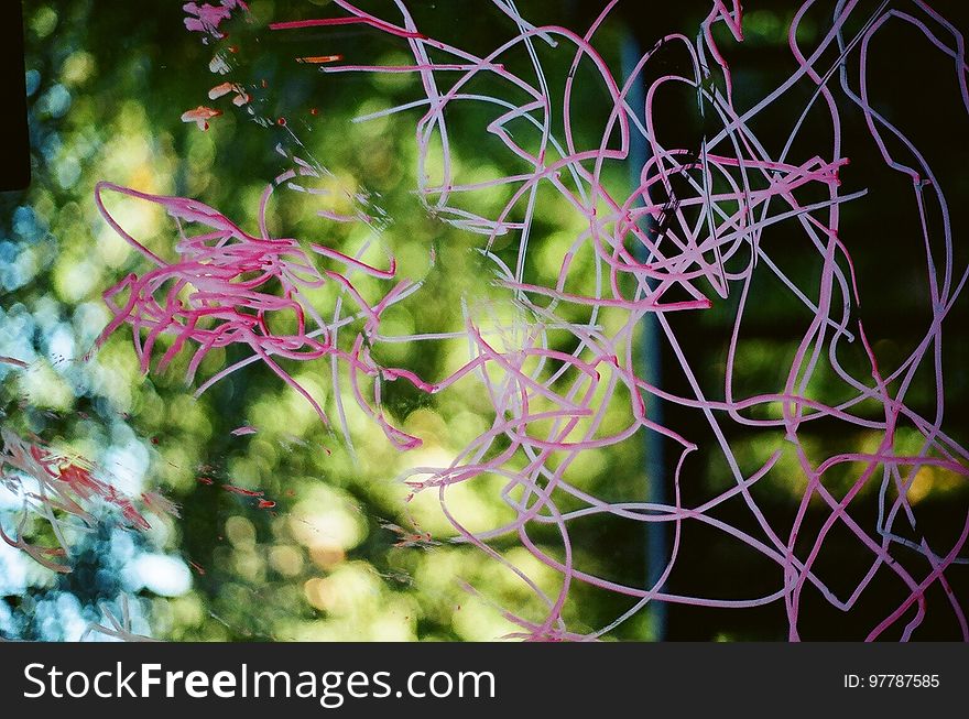 A bunch of red thread hanging in the air with a tree in the background. A bunch of red thread hanging in the air with a tree in the background.