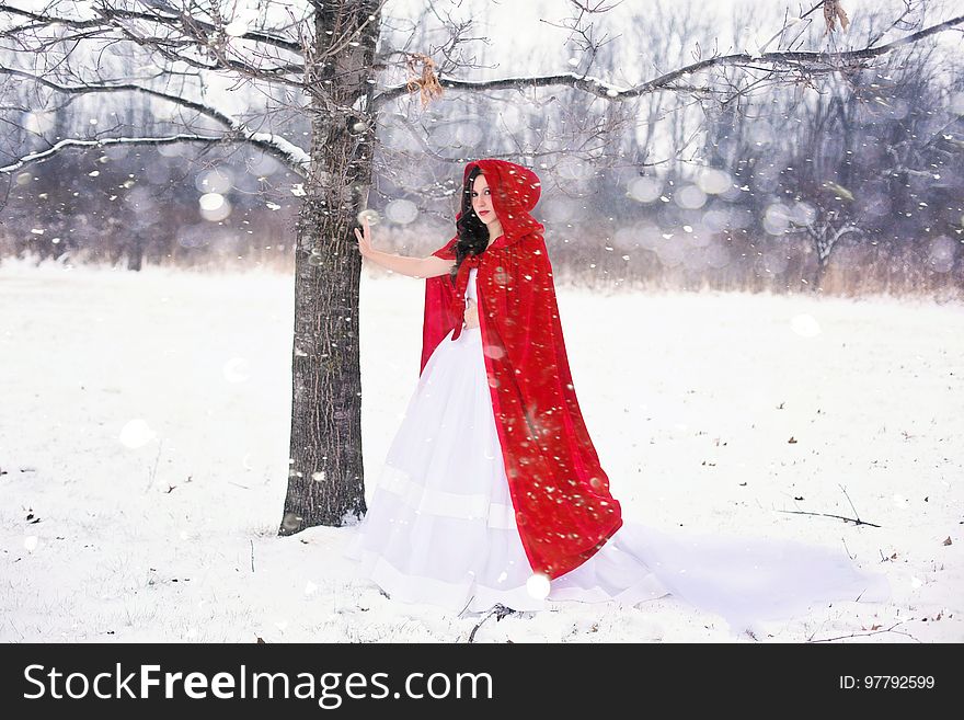 Red, Snow, Winter, Freezing