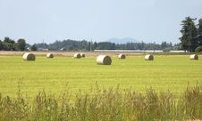Large Hay Bales In Rural Field Royalty Free Stock Image Large Hay Bales In Rural Field Royalty Free Stock Image