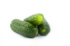Cucumbers Royalty Free Stock Photography Cucumbers Royalty Free Stock Photography