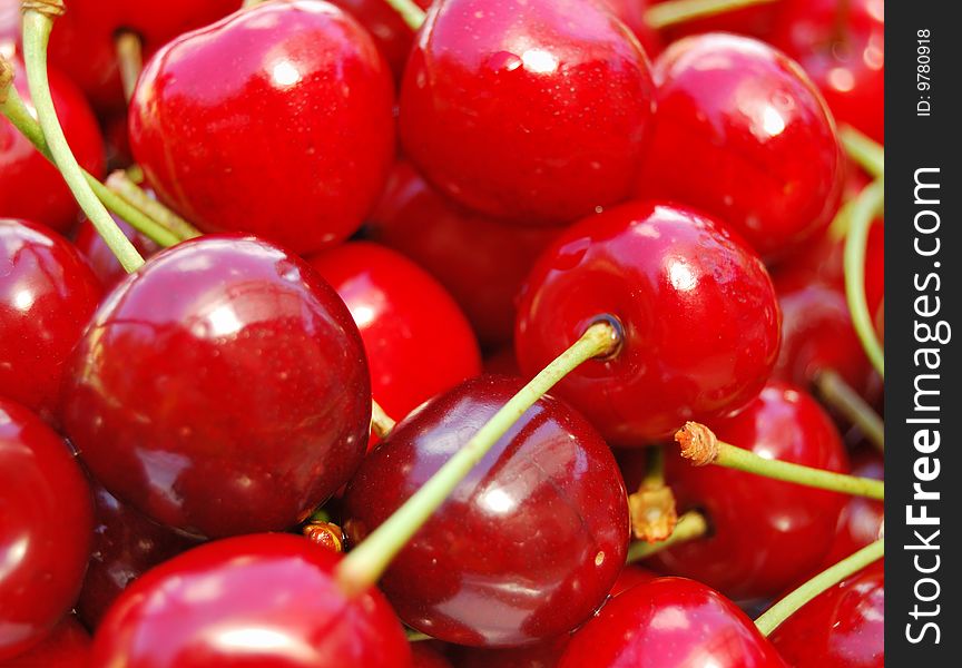 Closeup shot of summer cherries. Closeup shot of summer cherries