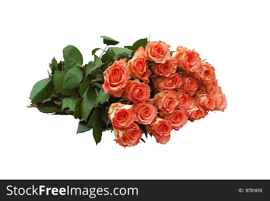 Roses of orange colour photographed on a textural light background