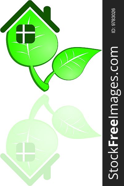 The vector green leaf on white