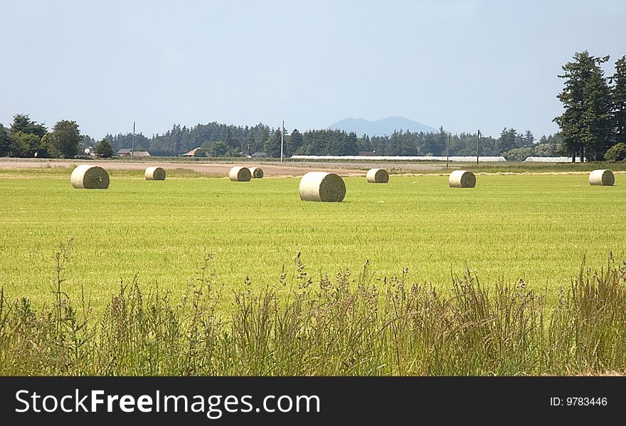 This rural shot is many large round hay bales in the field fresh after harvesting. Blue sky and mountains in the background. This rural shot is many large round hay bales in the field fresh after harvesting. Blue sky and mountains in the background.