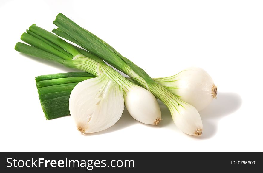 Group Of Fresh Onions.