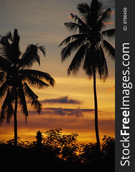 sunset framing coconut palms butuan mindanao philippines. sunset framing coconut palms butuan mindanao philippines