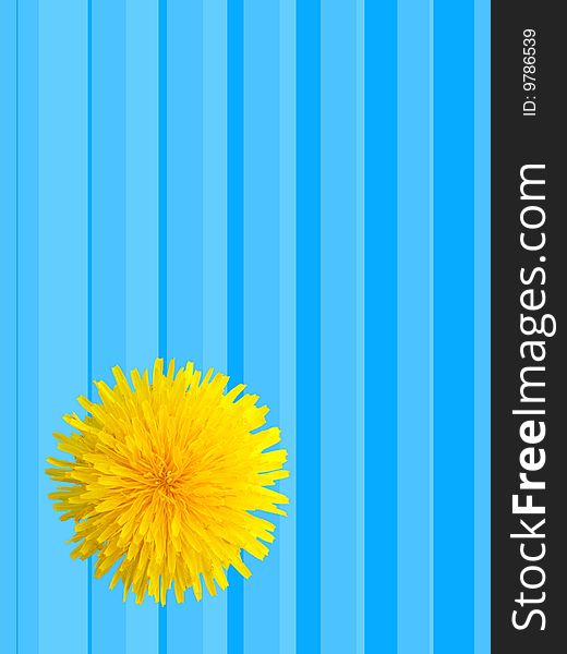 Collage from a flower of a dandelion and a striped background.