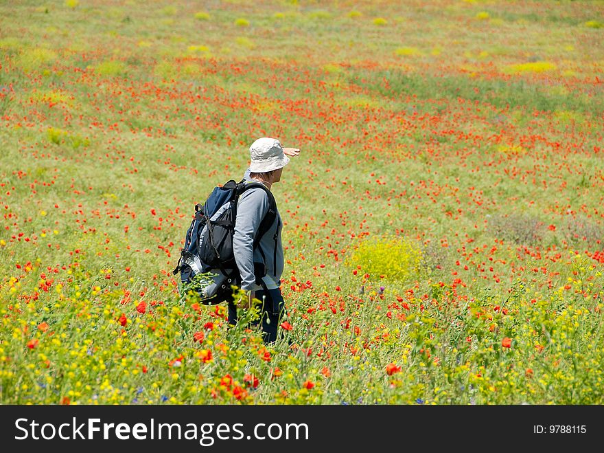 Happy hiker on a poppy field