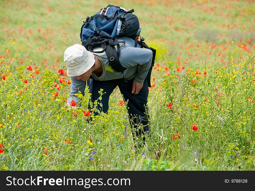 Happy hiker on a blooming poppy field. Happy hiker on a blooming poppy field