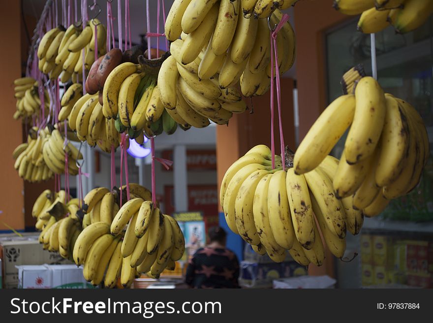 DSC_9929 Bananas Wholesale