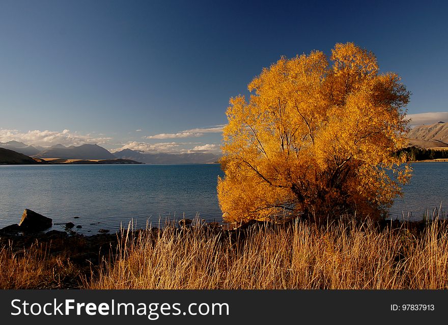 Autumn at Lake Tekapo NZ &#x28;13&#x29