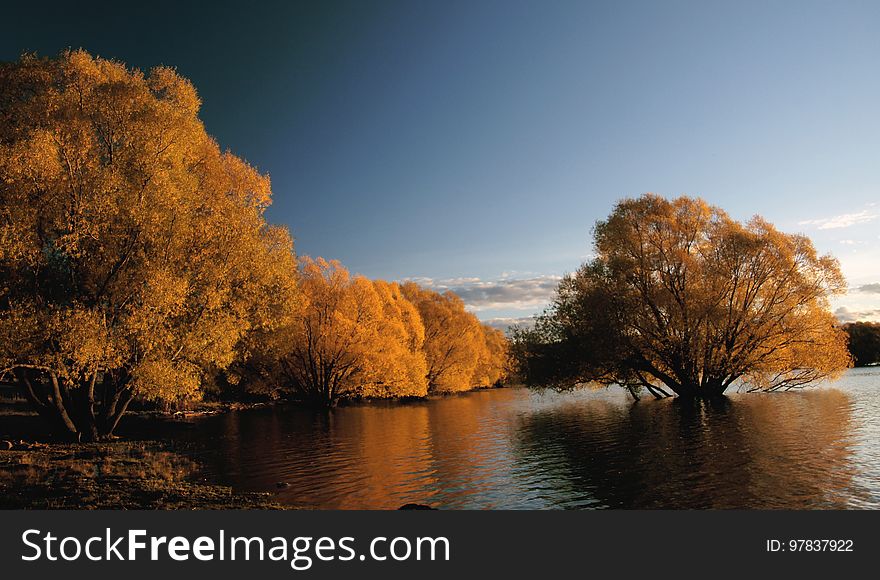 Autumn at Lake Tekapo NZ &#x28;24&#x29;