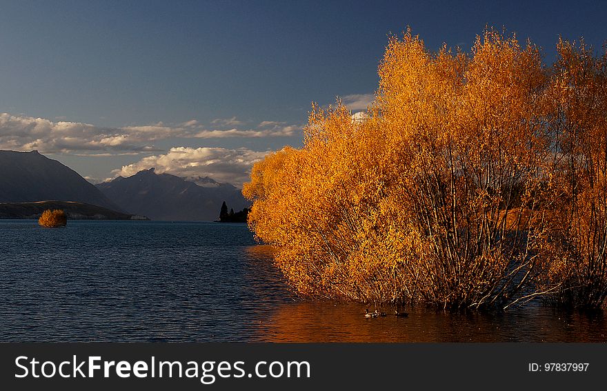 Autumn at Lake Tekapo NZ.