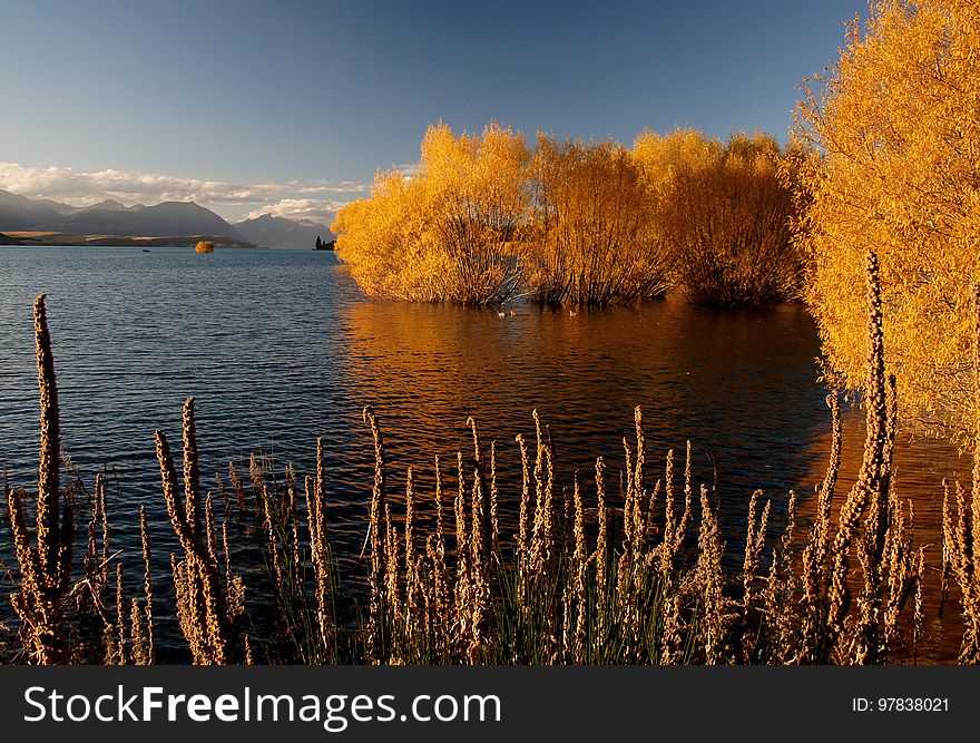 Autumn At Lake Tekapo NZ &x28;14&x29;