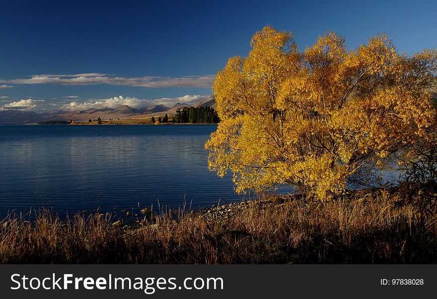 Autumn at Lake Tekapo NZ &#x28;10&#x29;