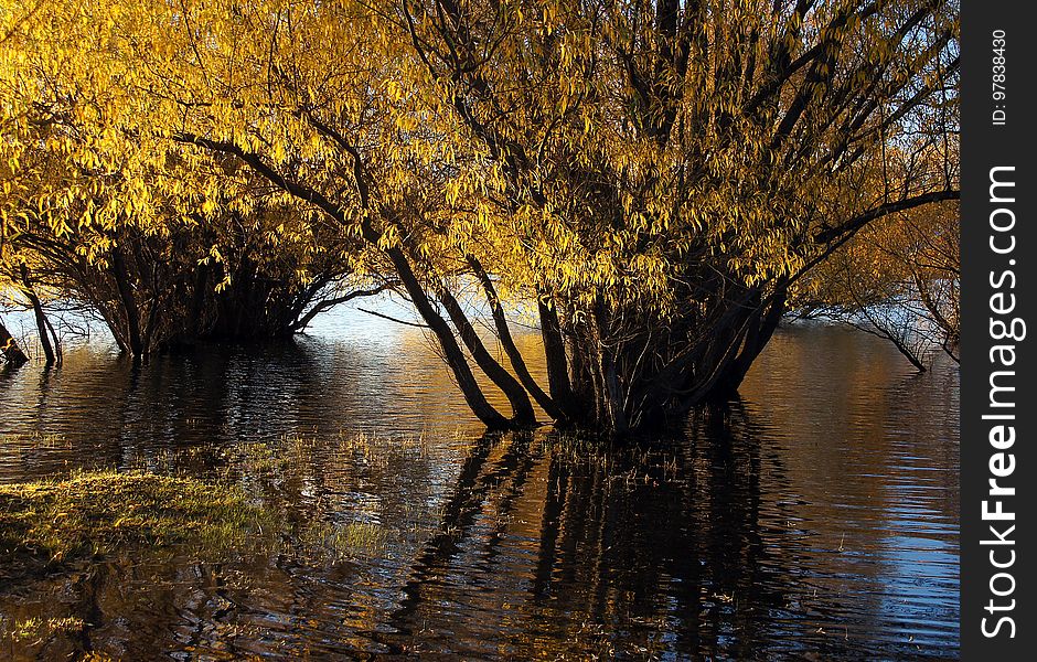 Autumn At Lake Tekapo NZ &x28;25&x29;