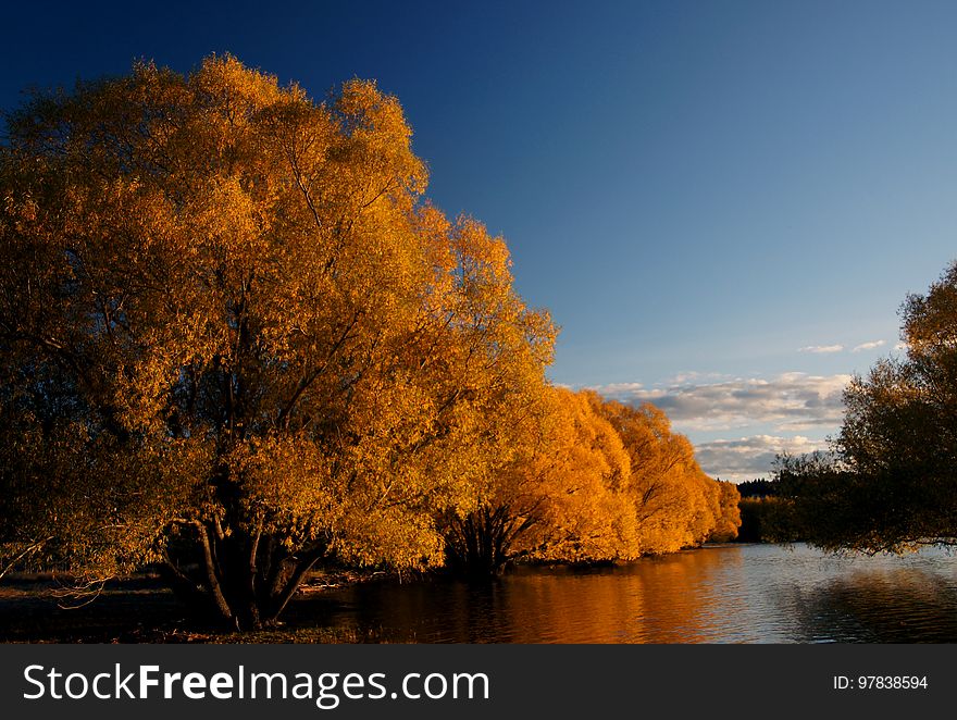 Autumn At Lake Tekapo NZ &x28;23&x29;