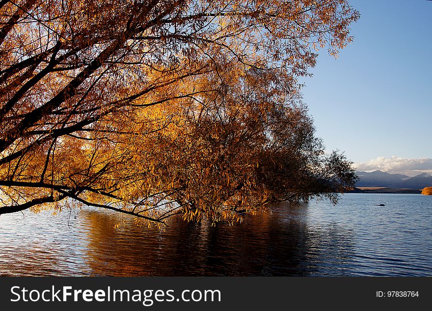 Autumn at Lake Tekapo NZ &#x28;19&#x29;