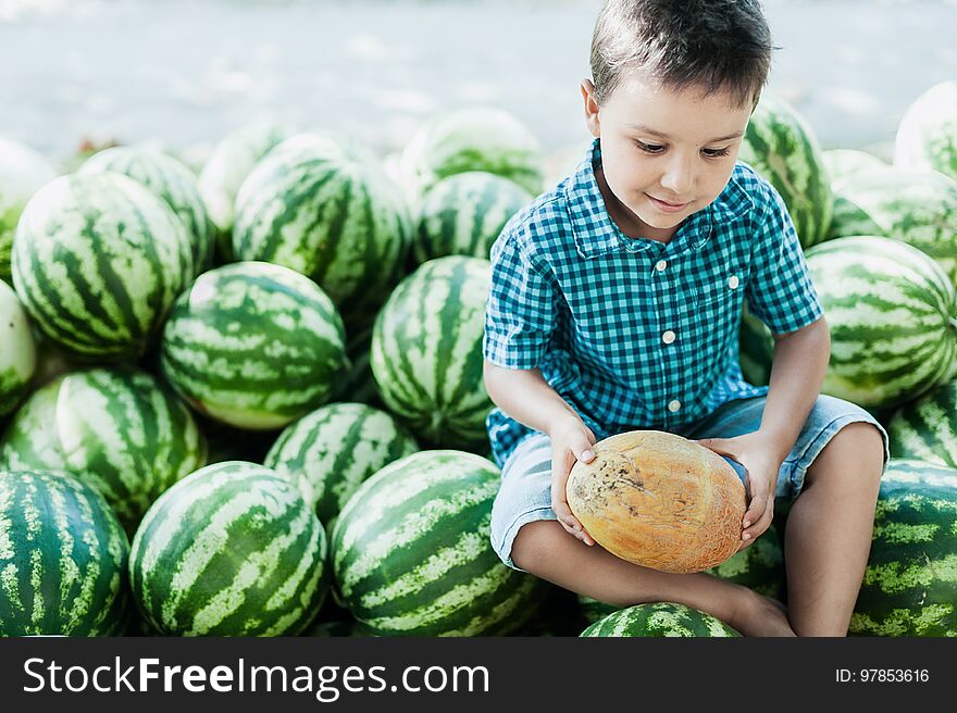 Boy Eating Watermelon. Happy Child In The Field.