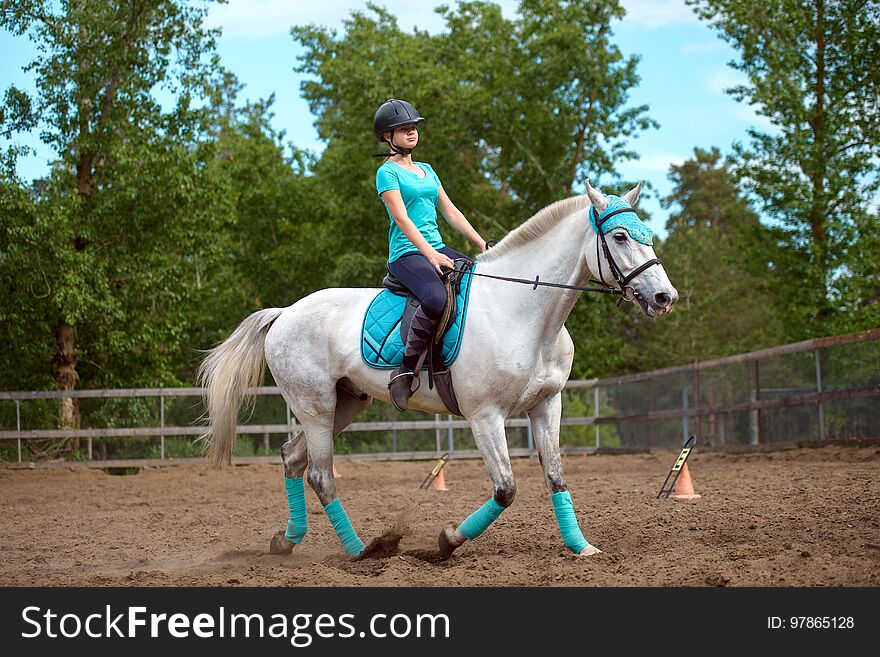 Girl Rider Trains The Horse In The Riding Course In Summer Day