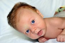 Look To The Lens Royalty Free Stock Photo