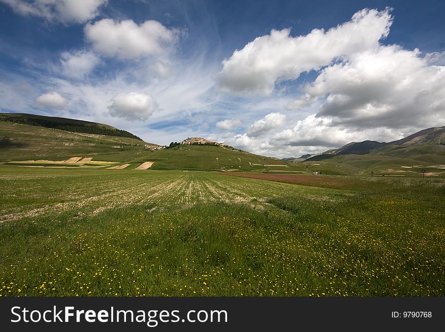 Spring landscape