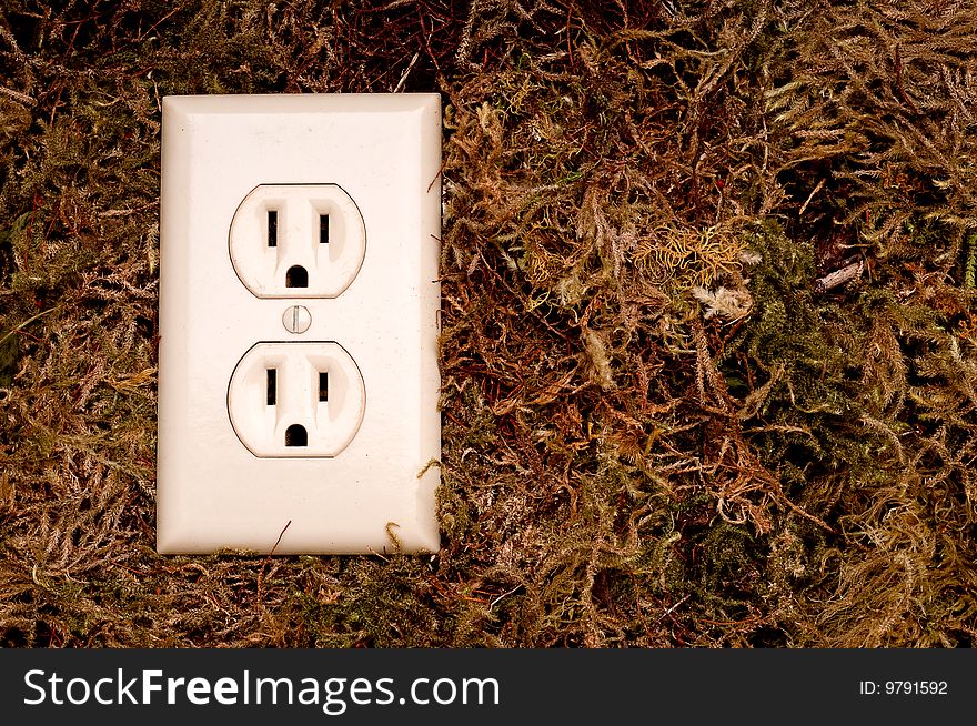 An horizontal image of an American power outlet on a moss background and space for copy. An horizontal image of an American power outlet on a moss background and space for copy