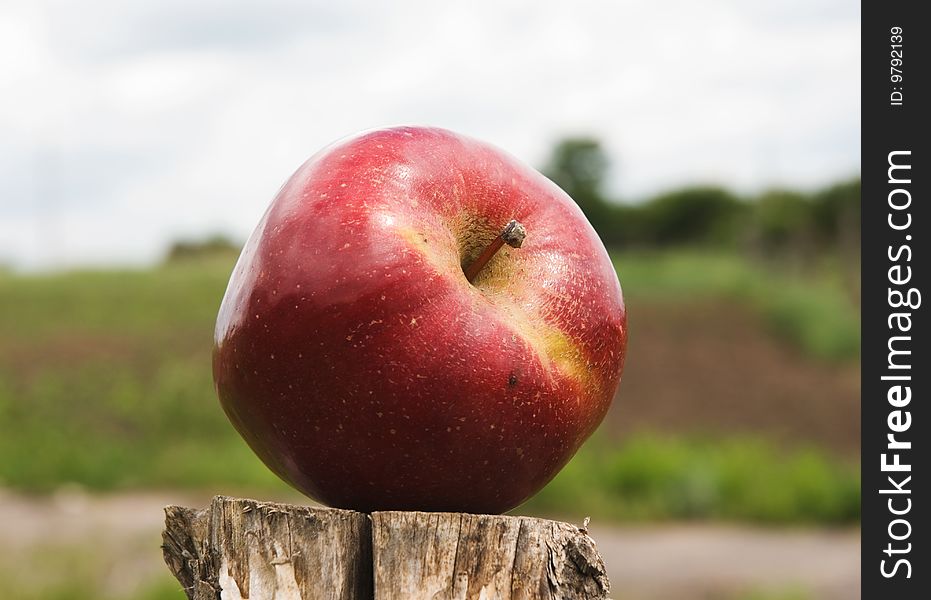 Ripe red apple on a column, against a background of dark sky