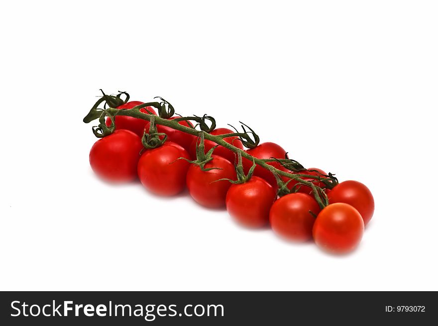 Photo of the fresh tomatoes