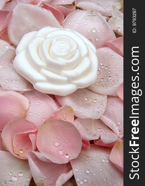 Rose shaped soap on petals with dew drops. Rose shaped soap on petals with dew drops