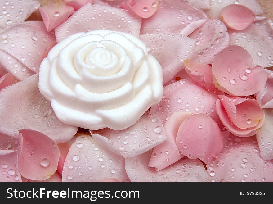Rose shaped soap on petals with dew drops. Rose shaped soap on petals with dew drops