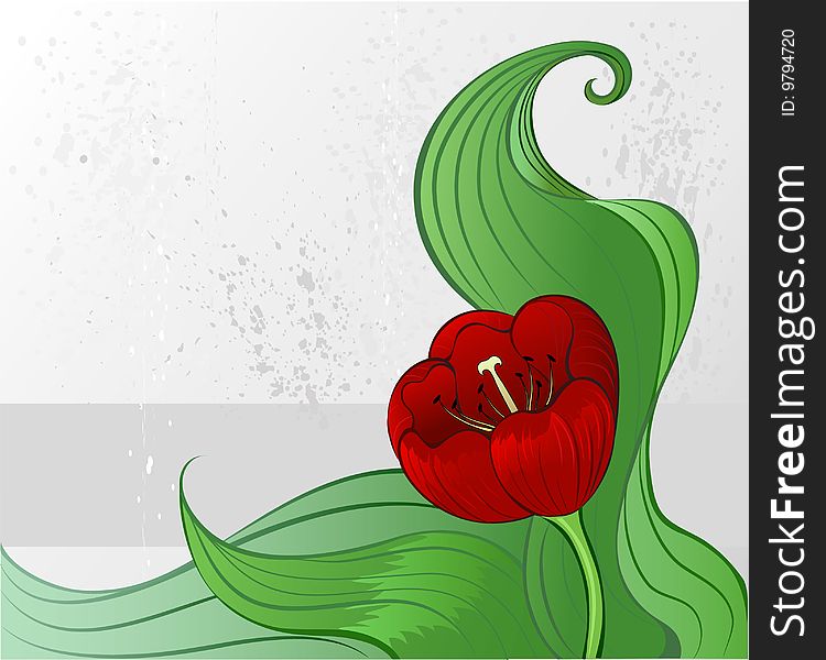 Fine drawn red tulip with green stylization leaves on a grey background from the drop of grey paint. Fine drawn red tulip with green stylization leaves on a grey background from the drop of grey paint